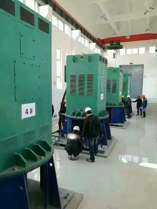 沅陵某污水处理厂使用我厂的立式高压电机安装现场